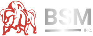 BSM Inc. logo